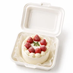 Bento Box 6 * 6 inch ( 5 piece pack )