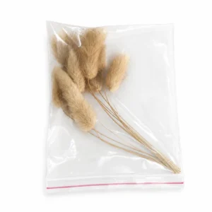Bunny Tail Grass Stems Pack of 10